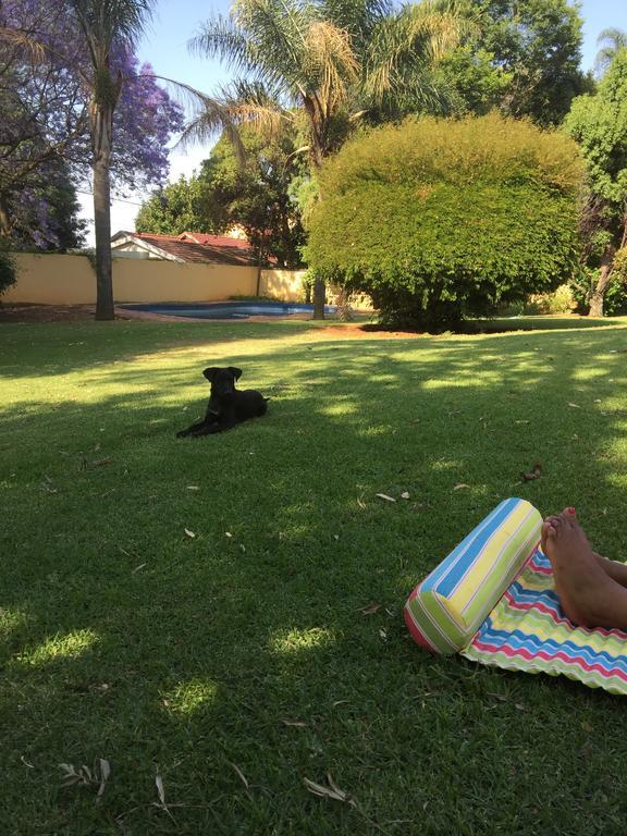 Khuvena Guesthouse Randburg Zewnętrze zdjęcie